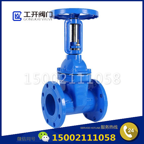 Z41X-16Q軟密封明桿閘閥-給排水手動閘閥-球墨鑄鐵明桿閘閥-RRHX明桿