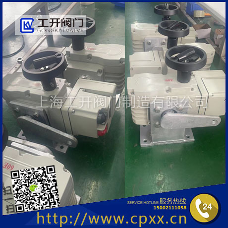 DY-160Z電動執(zhí)行器-精小型智能調節(jié)電動執(zhí)行器-角行程電動執(zhí)行器AC220