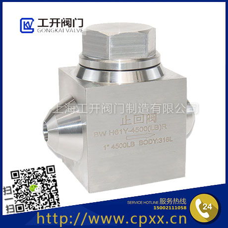 H61Y-4500LB高壓焊接止回閥-BW對(duì)焊高壓止回閥